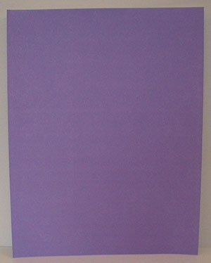 2.6 x 1 inch purple labels